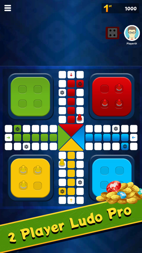 Ludo Pro