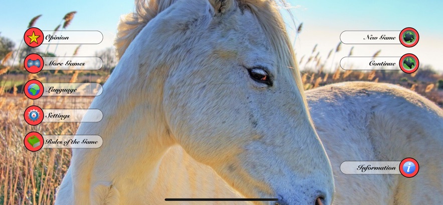 Ludo - Horse Racing Games